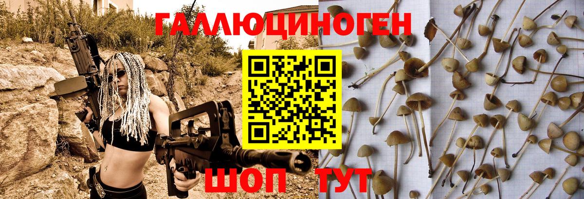 Псилоцибиновые грибы GOLDEN TEACHER Псков