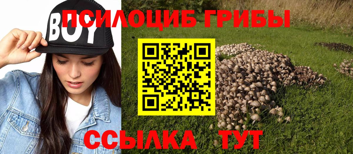 магазин продажи   Вход с VPN  Псков  Псилоцибиновые грибы MAGIC MUSHROOMS  Галлюциногенные грибы MAGIC MUSHROOMS 