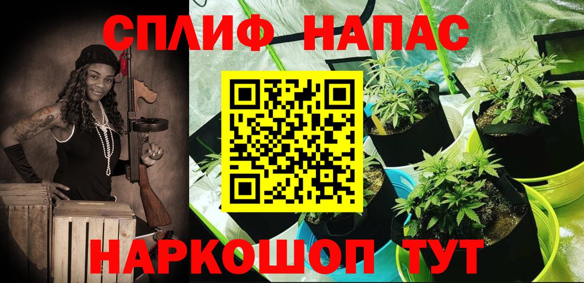 Бошки Шишки ГИДРОПОН  Вход с VPN  Псков  Конопля план  МАРИХУАНА OG Kush  Каннабис VHQ 